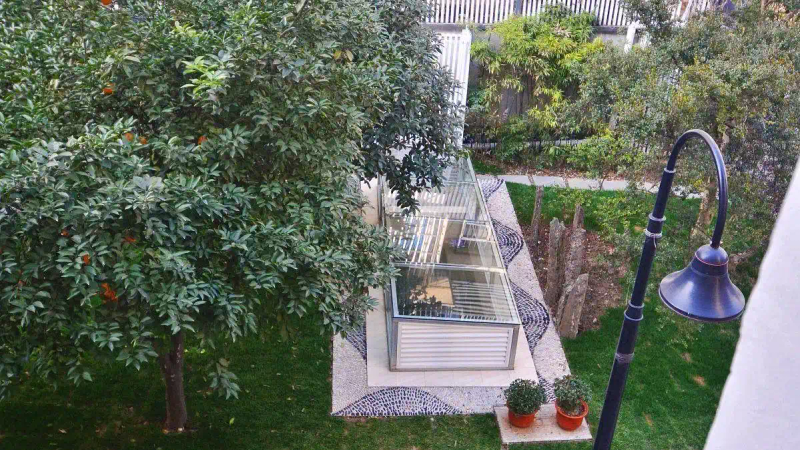 It's good for new fruit trees in the north