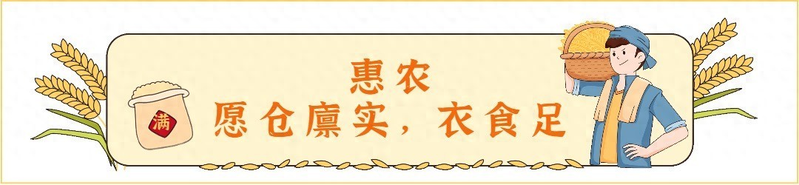 草莓盆栽种子种植方法