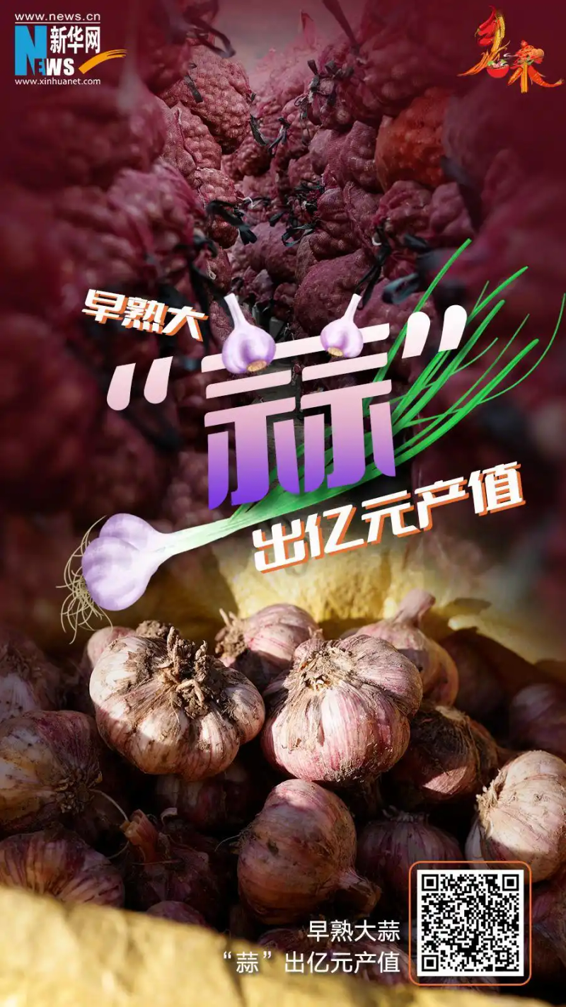 春季大蒜种植技术