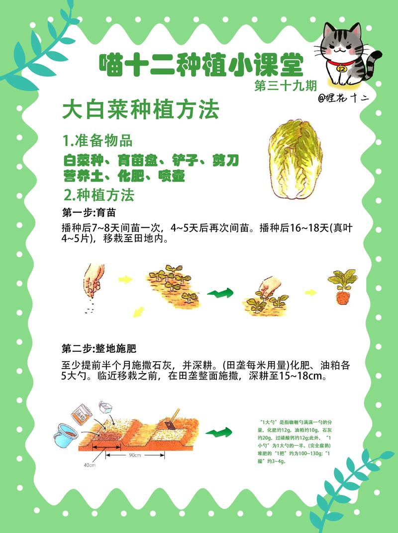 早春大白菜种植技术