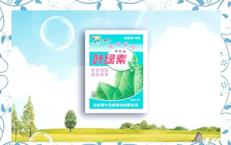 西兰花种植方法大全