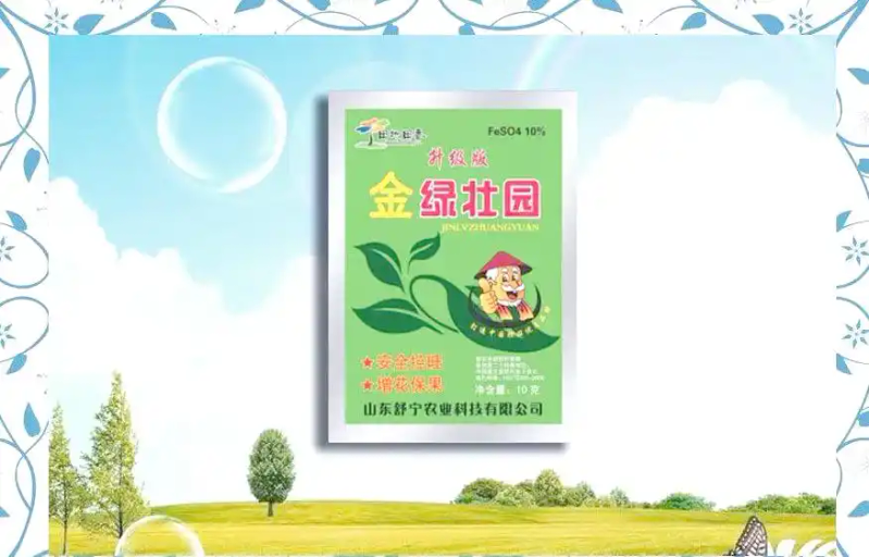 西兰花种植方法大全