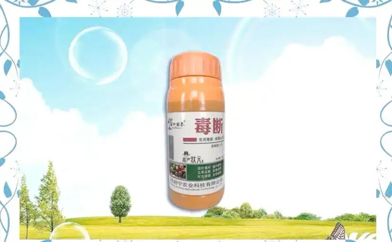 西兰花种植方法大全