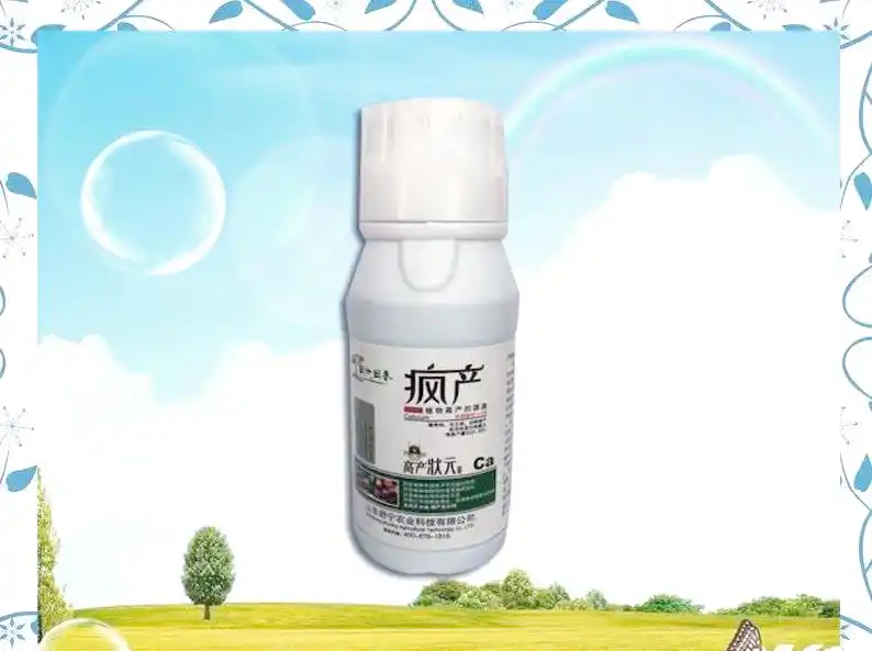 西兰花种植方法大全