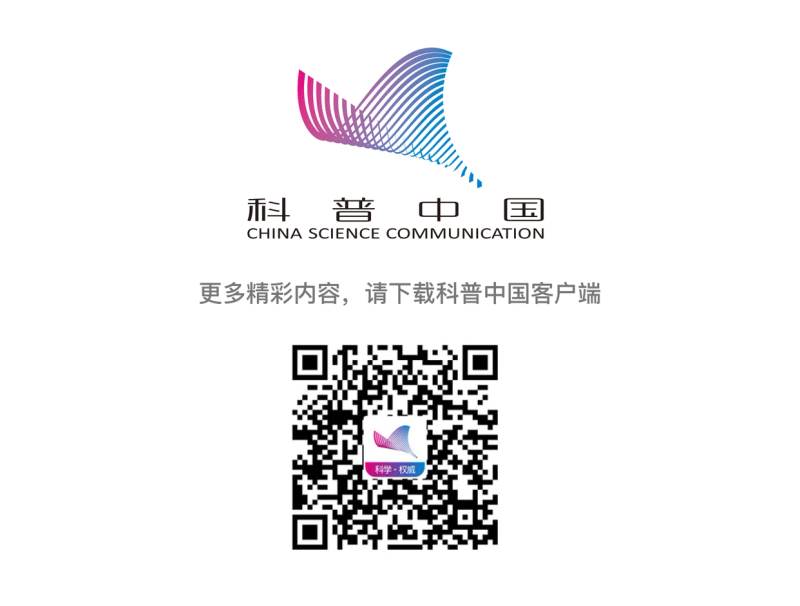 野沙葱野外种植方法