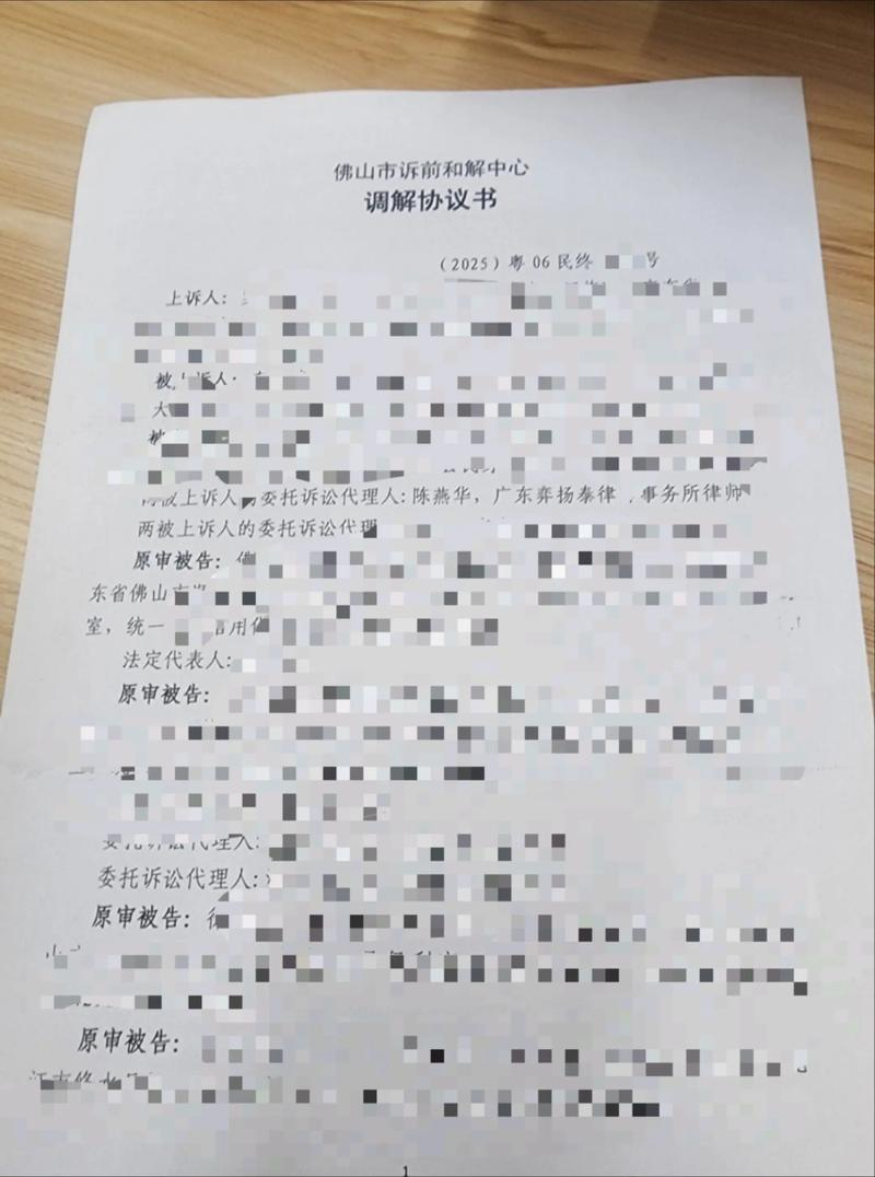 知识产权情况说明模板