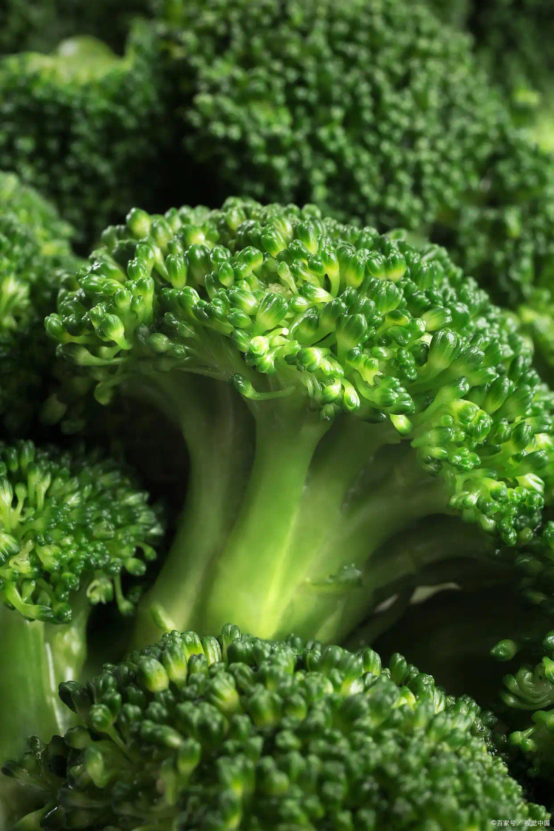 There's a lot of methods to grow broccoli