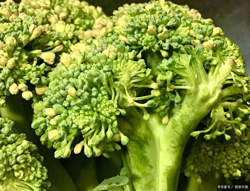 There's a lot of methods to grow broccoli