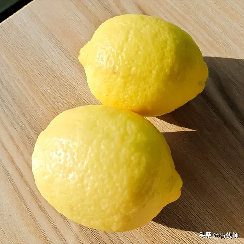 柠檬种子怎么种植方法