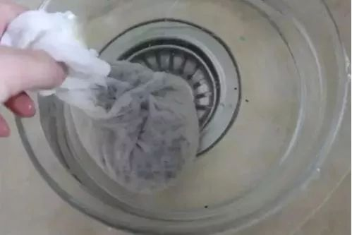 柠檬种子怎么种植方法