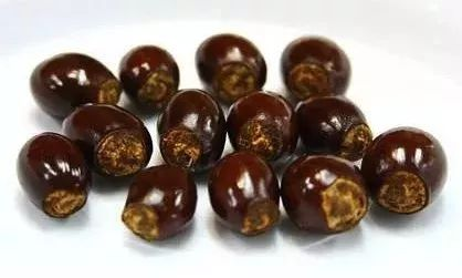 柠檬种子怎么种植方法