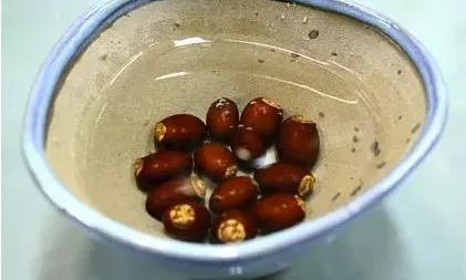 柠檬种子怎么种植方法