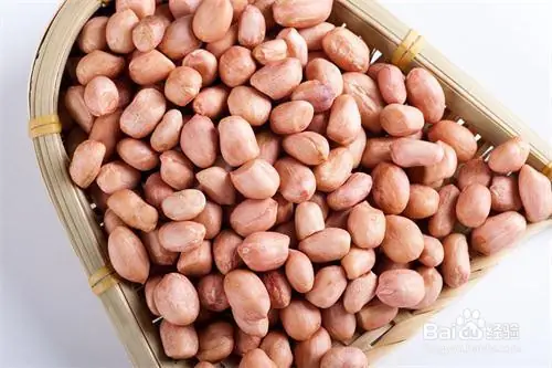 夏威夷果种植技术