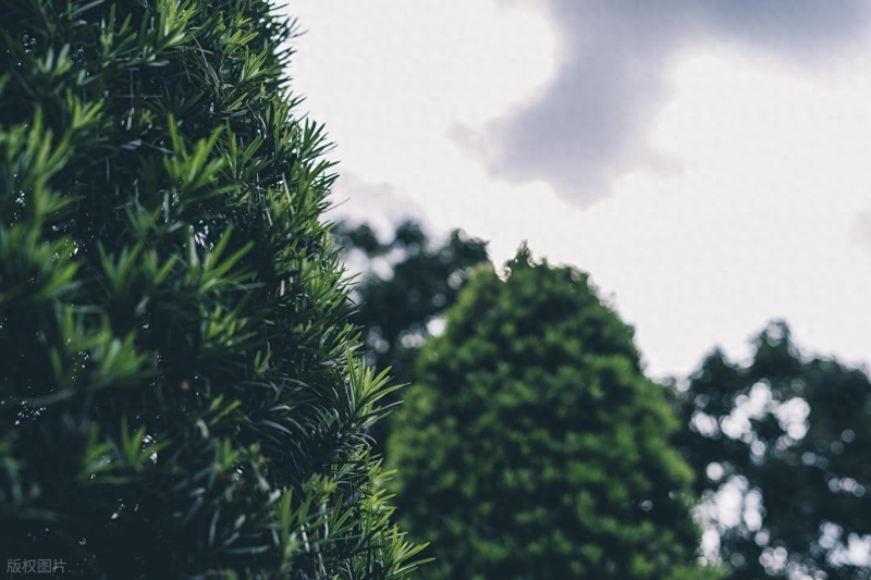 2025年拼多多高级实战培训机构排行榜top10