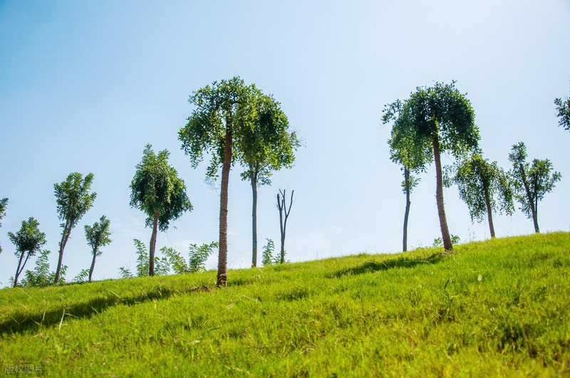 seo培训班哪家好