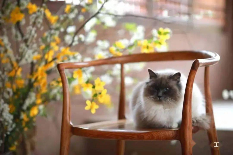 自在工坊家具特点