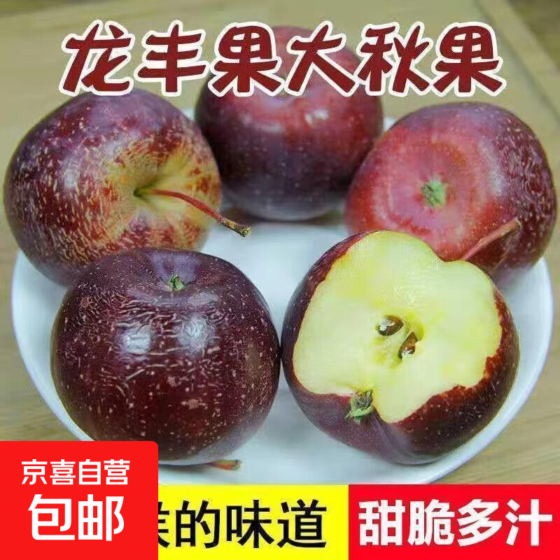 适合北方种植新品种果树