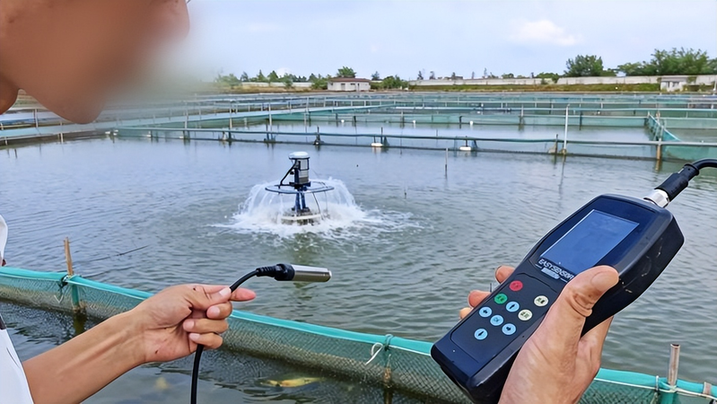 溶解氧测定仪温度补偿原理及其检定方法