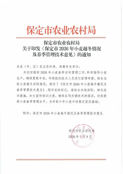 山东莲藕种植技术