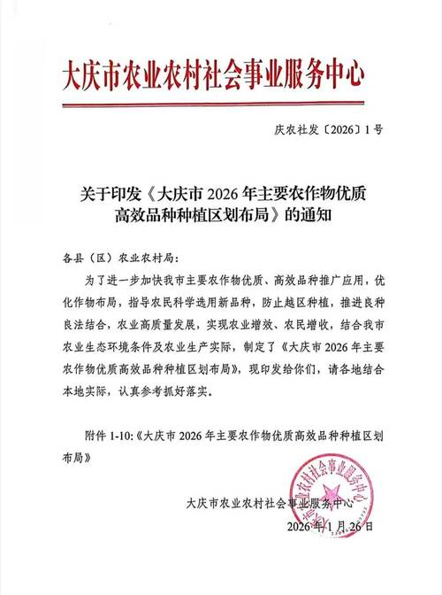 山东莲藕种植技术