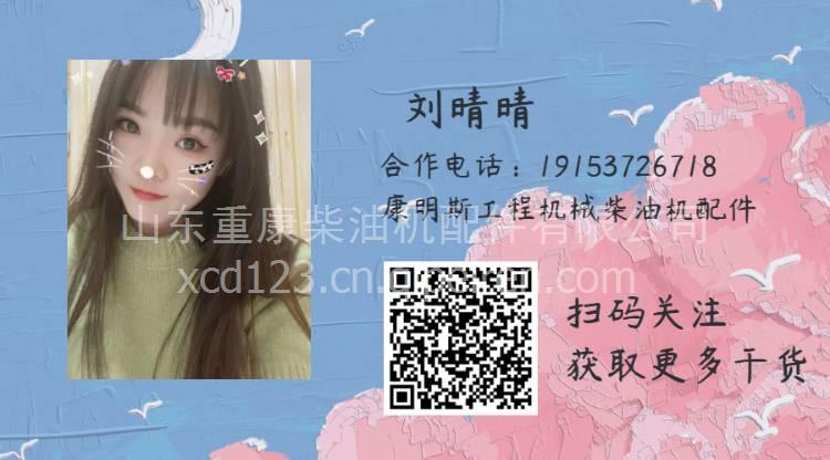 康明斯isbe高压共轨柴油机维修手册