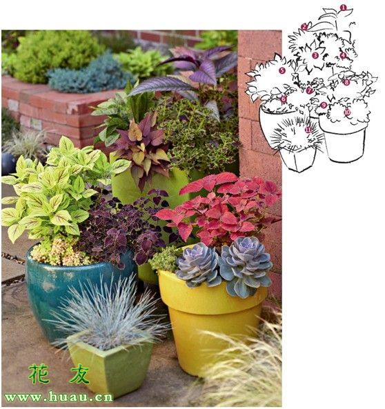 The method of planting a small plant