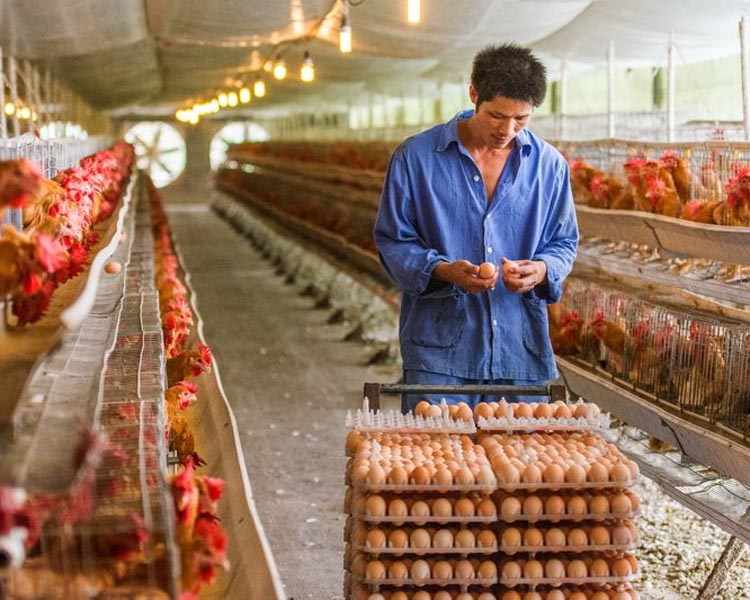 空调不制热维修工具