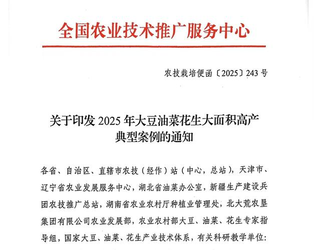 山东莲藕种植技术