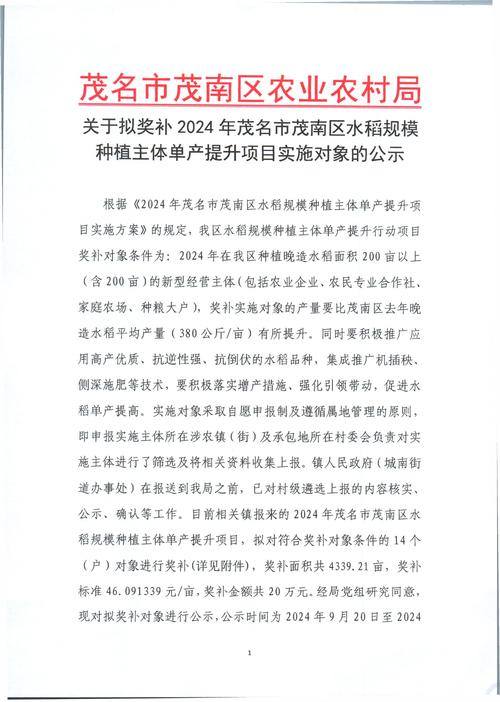 山东莲藕种植技术