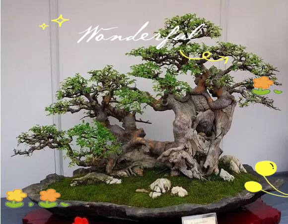 Pyramid tree cultivation methods