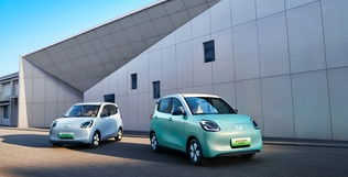 5o's 2026 quotations and pictures