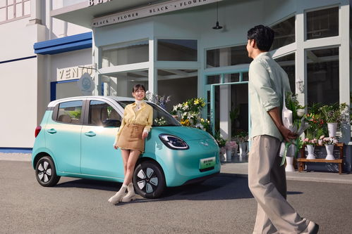 5o's 2026 quotations and pictures