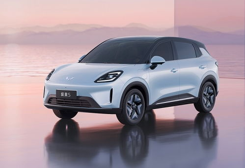 5o's 2026 quotations and pictures