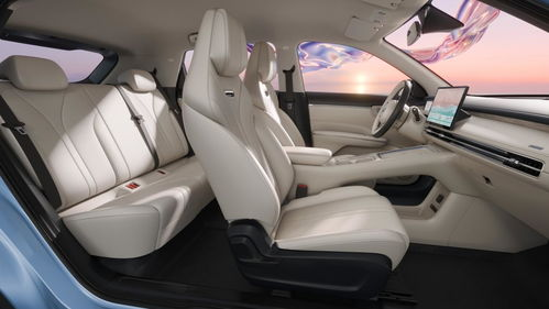 5o's 2026 quotations and pictures