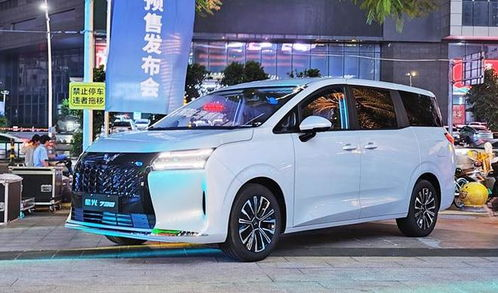 5o's 2026 quotations and pictures