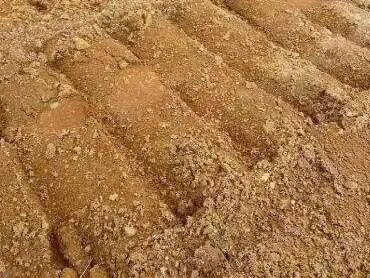 葡萄种植技术与管理