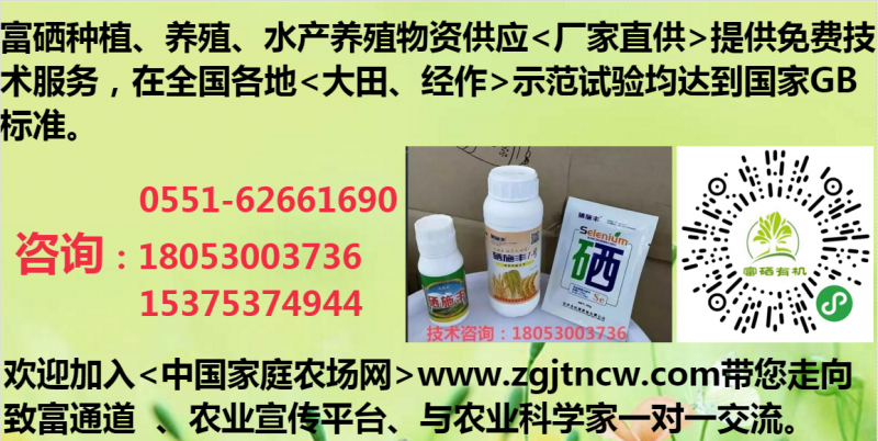机收再生稻每亩增收400元！核心技术是什么？