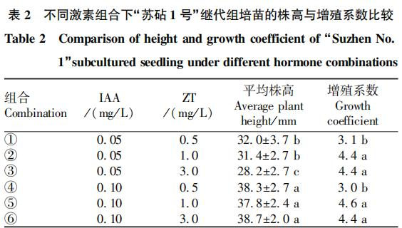 柿子树苗的种植技术