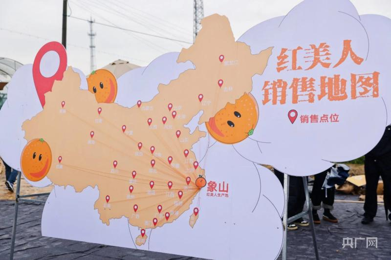 红美人柑橘的种植方法