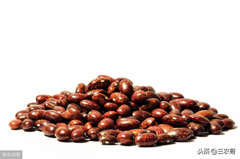 无架豇豆种植技术