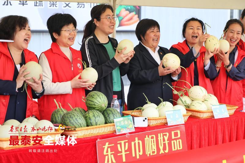 东北香瓜种植技术