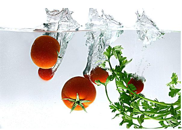 室内无土种植蔬菜