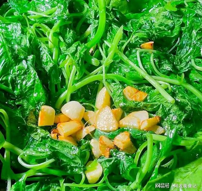 夏季大蒜的种植方法