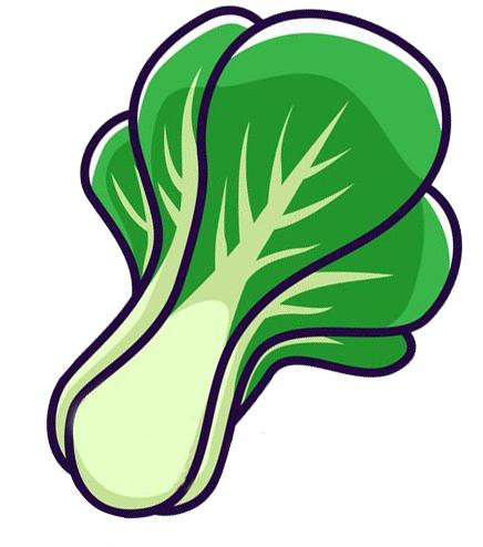 Map of the methods used to plant the balconies