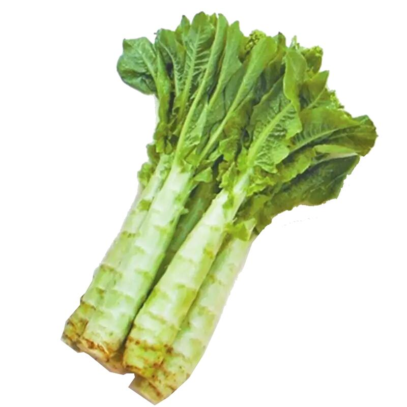 Map of the methods used to plant the balconies