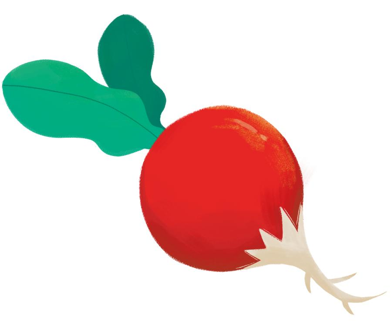 Map of the methods used to plant the balconies