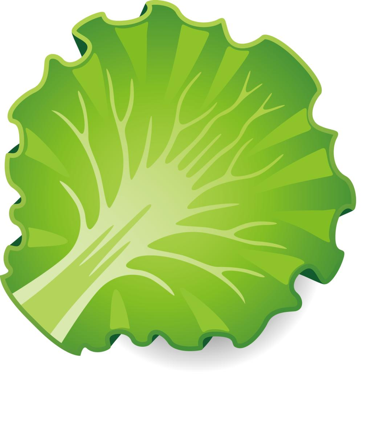 Map of the methods used to plant the balconies