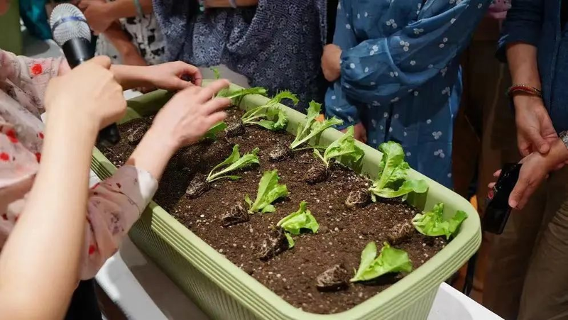 Map of the methods used to plant the balconies