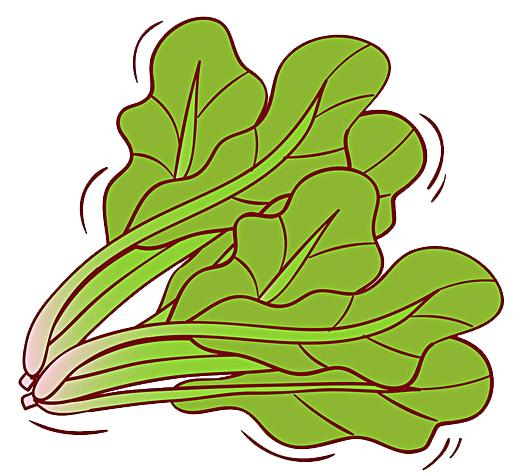 Map of the methods used to plant the balconies