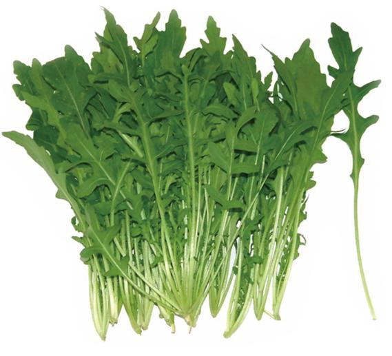 Map of the methods used to plant the balconies